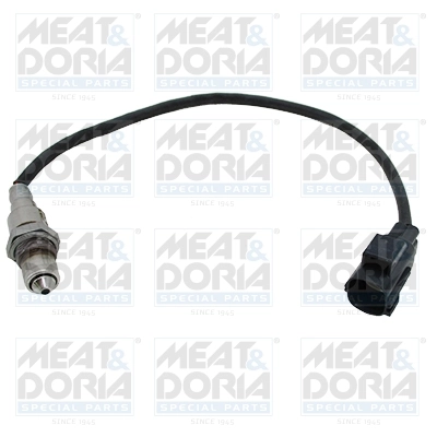 Oxygen Sensor